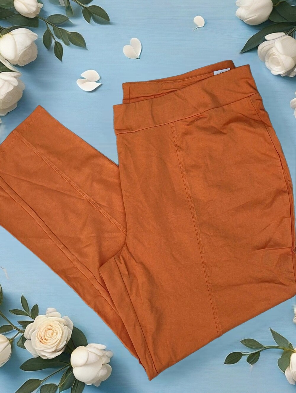 Ashley Stewart orange stretch trousers pants Women 22/24